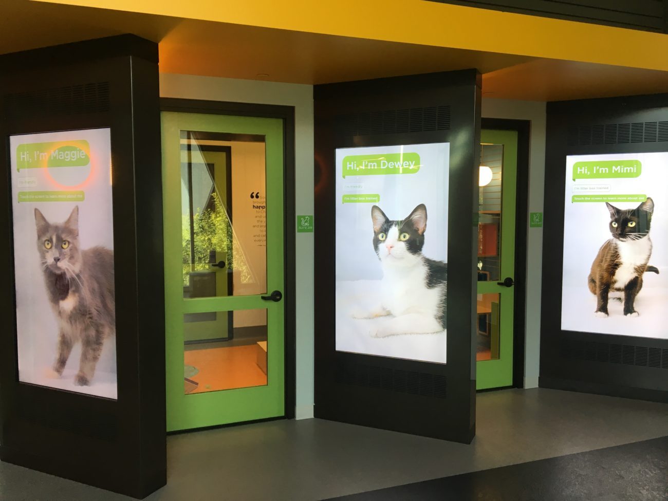 The Wallis Annenberg PetSpace - Blog - MATT Construction