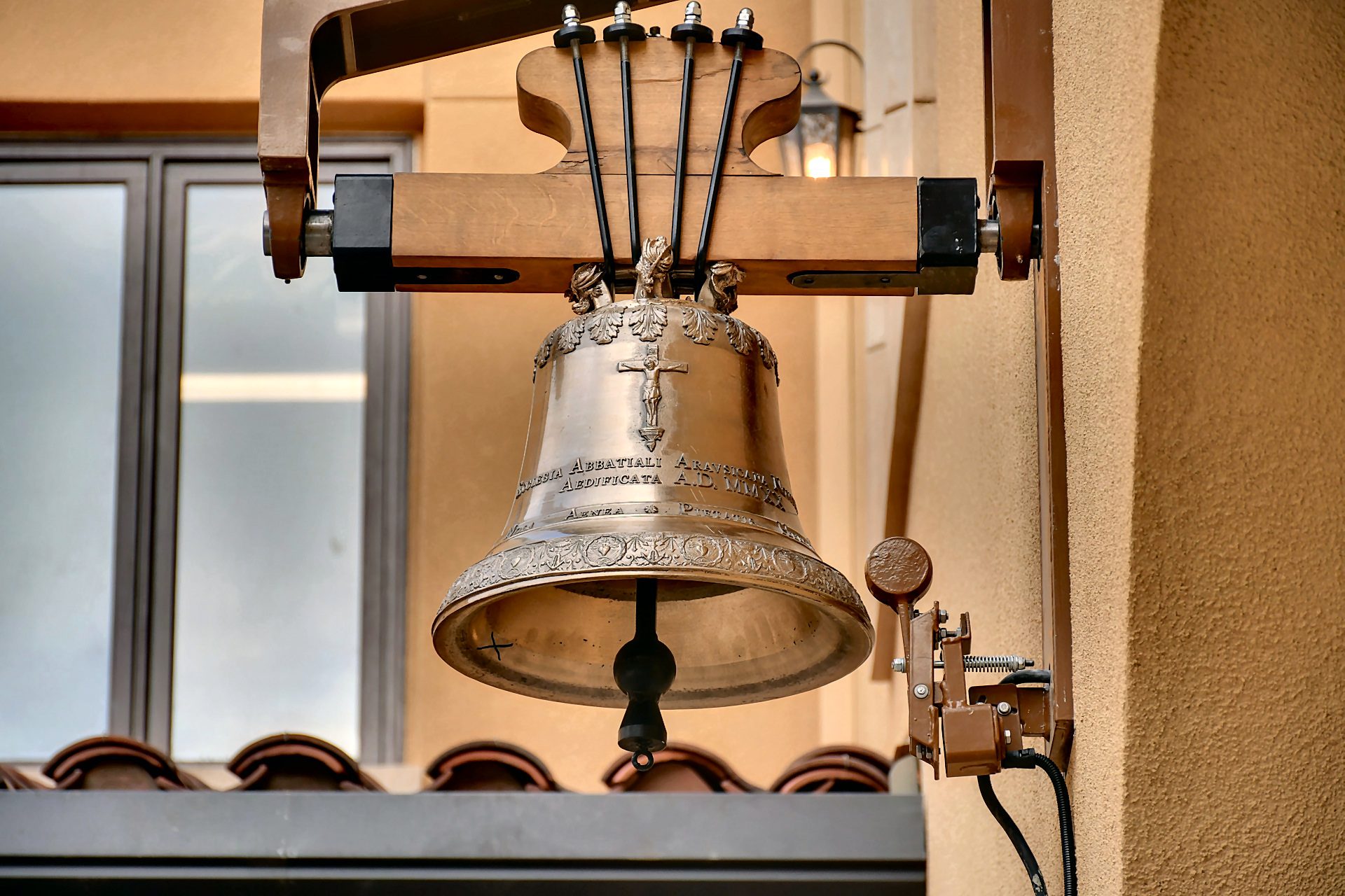 abbey bell
