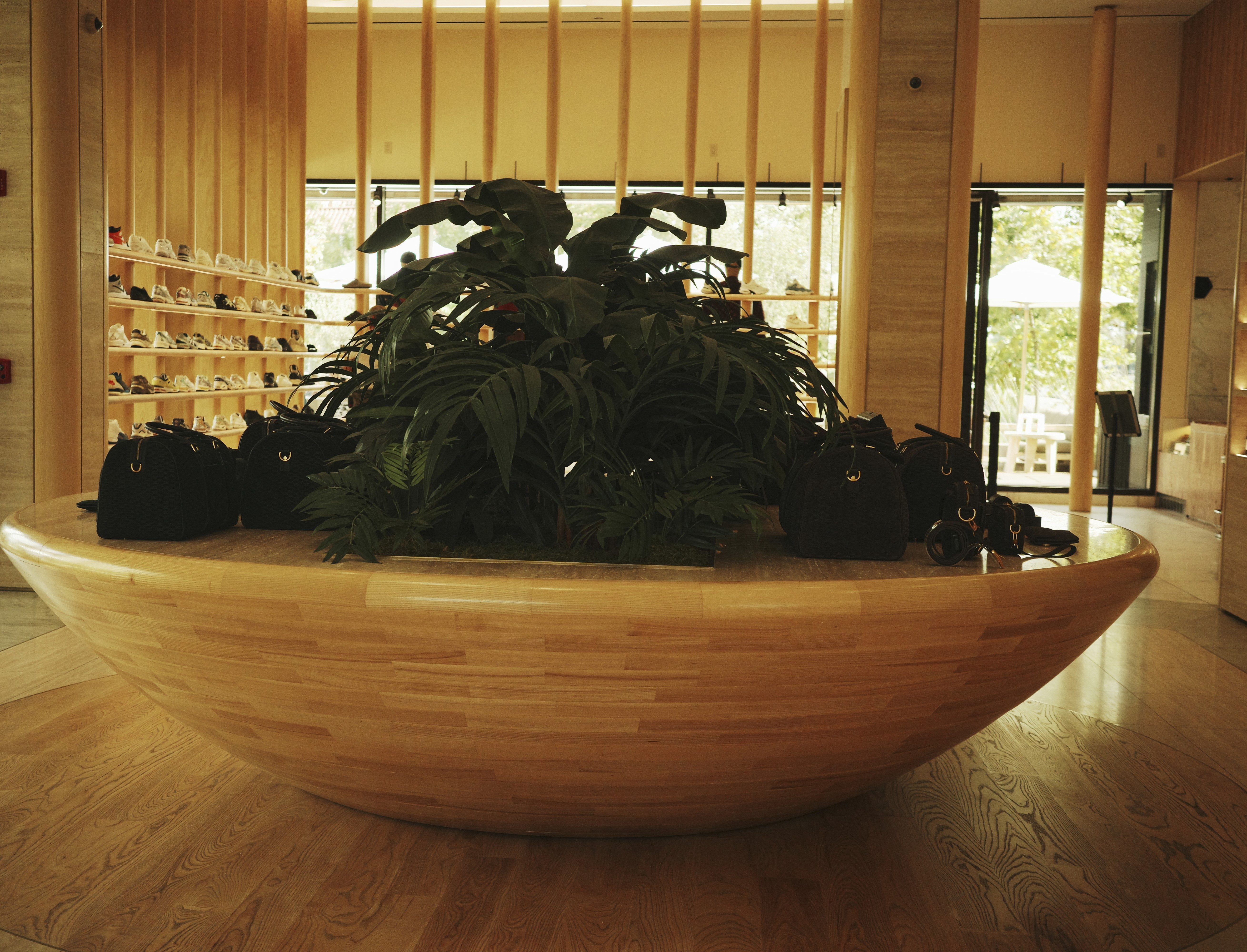 Large interior planter at Cross Creek Ranch.